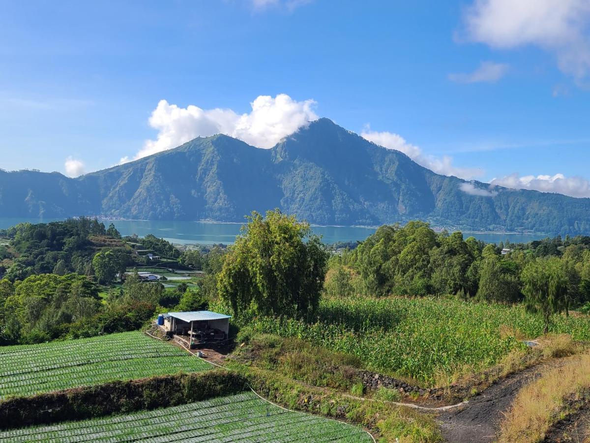 Batur Lake View Kintamani Екстериор снимка