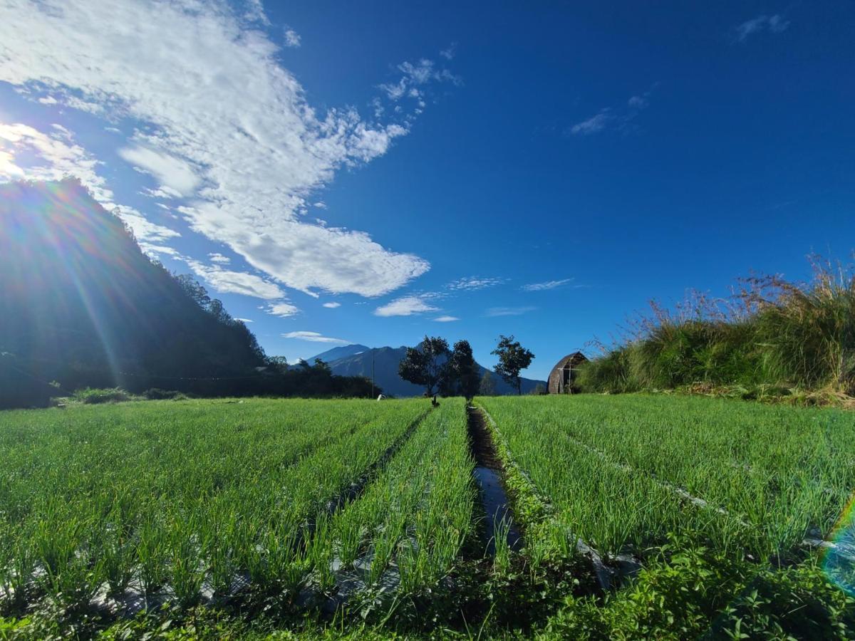 Batur Lake View Kintamani Екстериор снимка